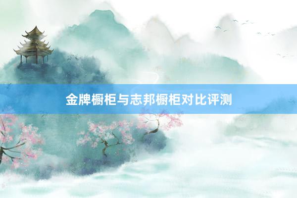 金牌橱柜与志邦橱柜对比评测